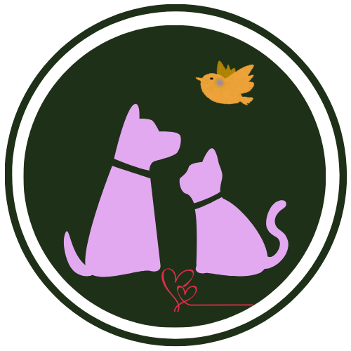 Bhopal Pets Online