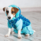 Pets Clothings bhopal Pets online