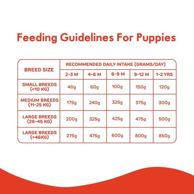 1.2kg purple tail puppy food chicken and pumpkin bag at Bhopal Pets Online