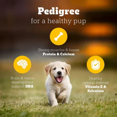 2.8kg pedigree puppy food chicken and milk pack for healthy growth at Bhopal Pets Online